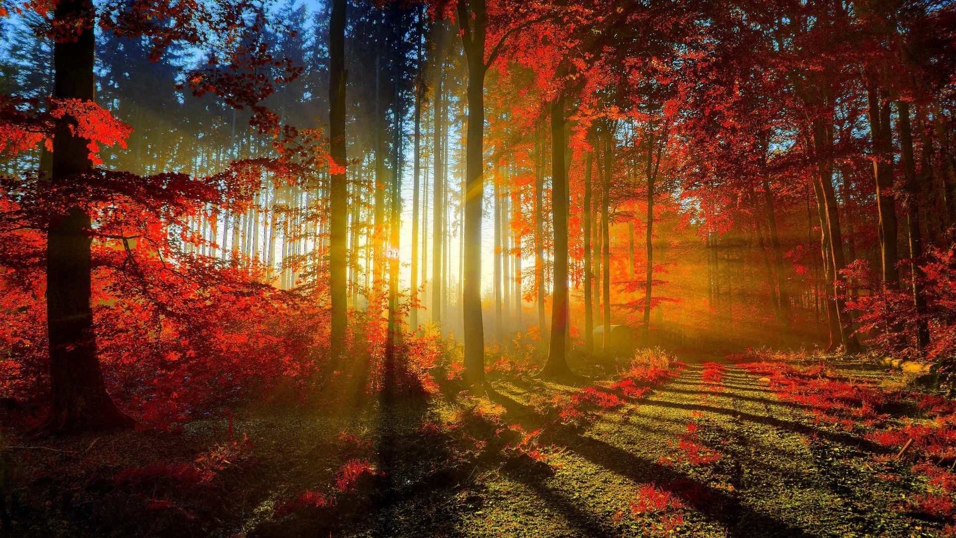 1920x1080 Beautiful Wallpaper