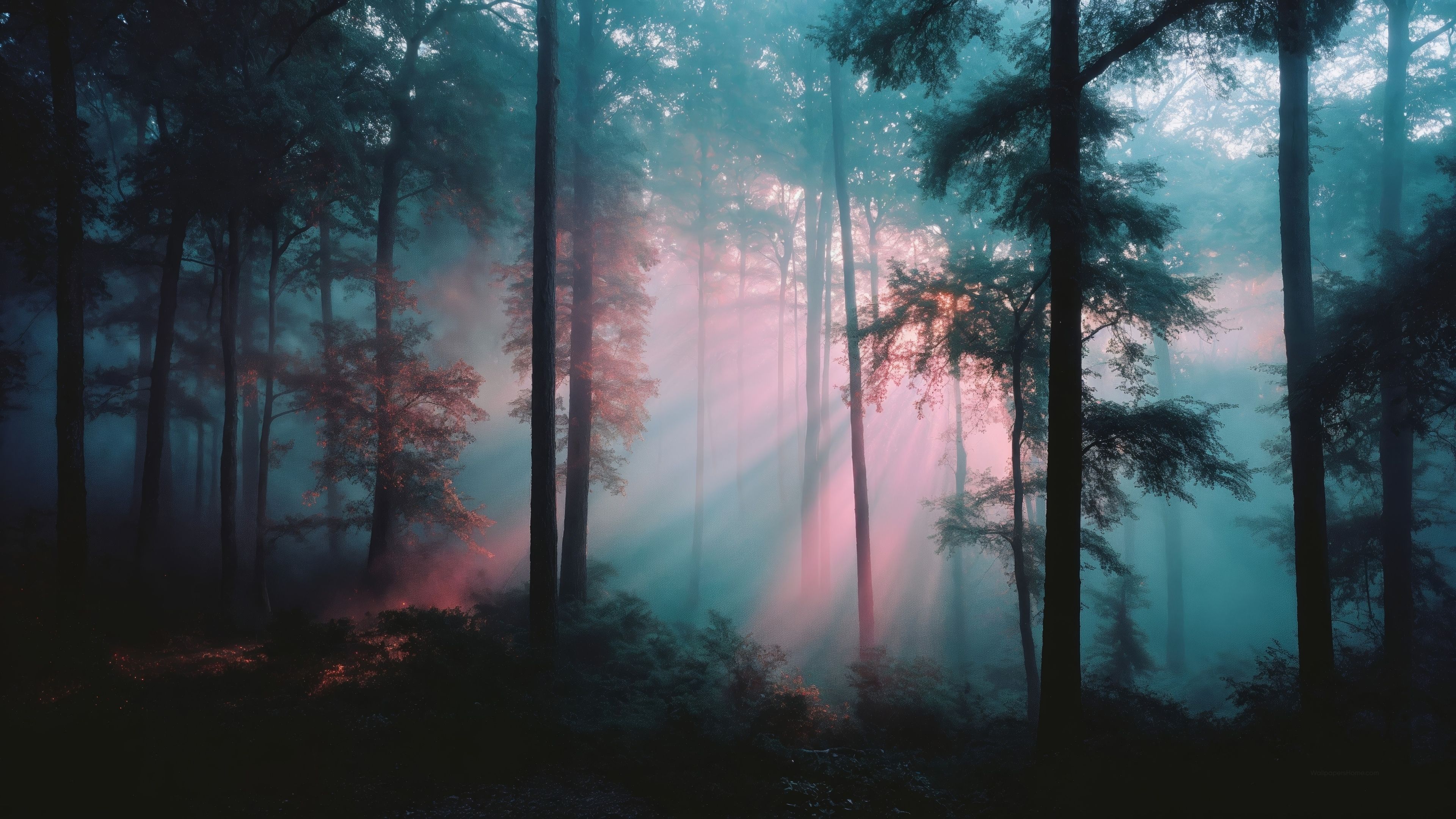 3840x2160 Fairy tale Wallpaper 4K focus, Whimsical