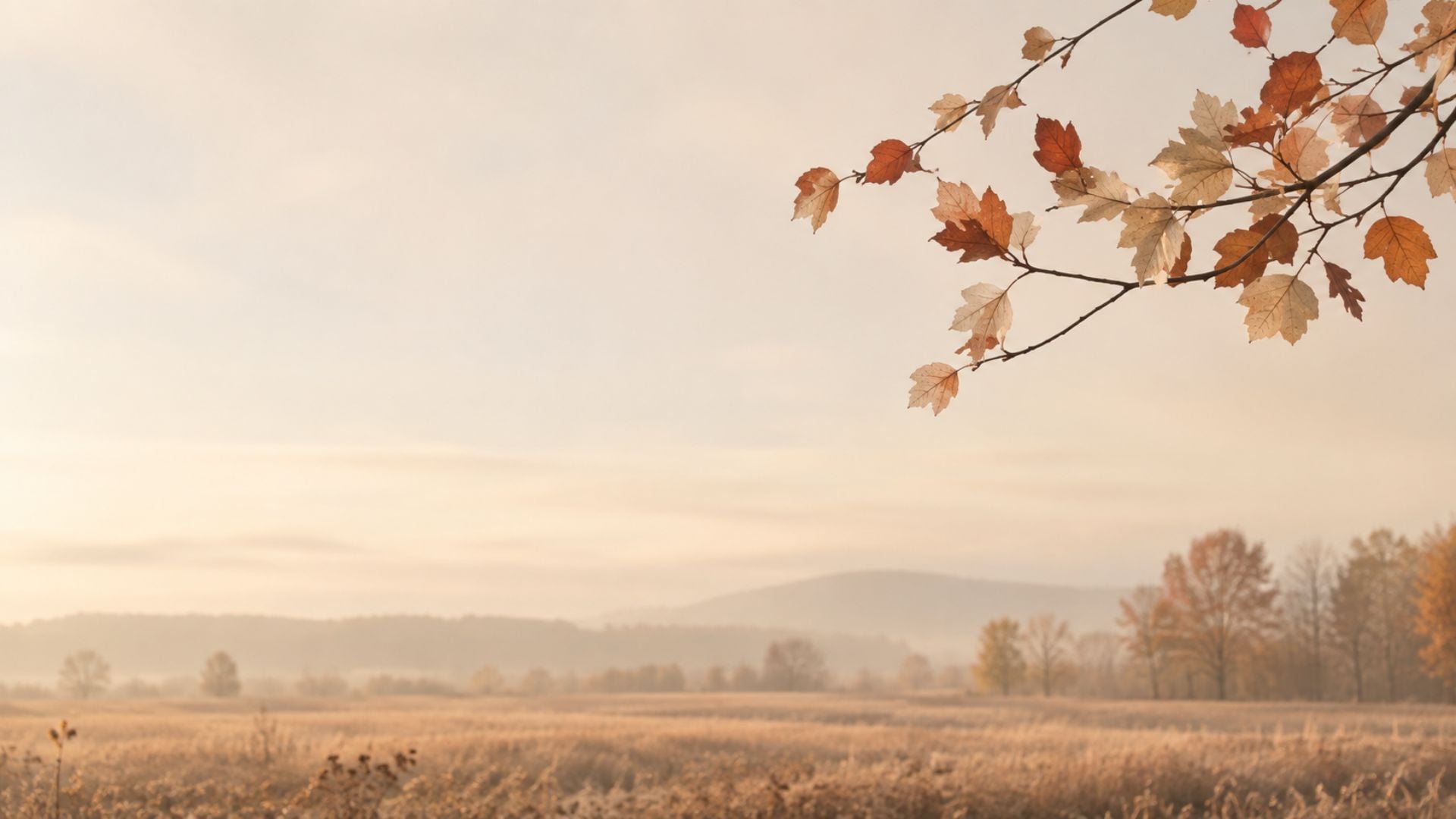 1920x1080 Free Aesthetic Fall Desktop Wallpaper