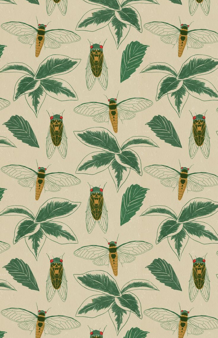 735x1137 In the Company of Women Book Artwork: Bug Pattern Illustration. Vintage insect pattern design, Cicada