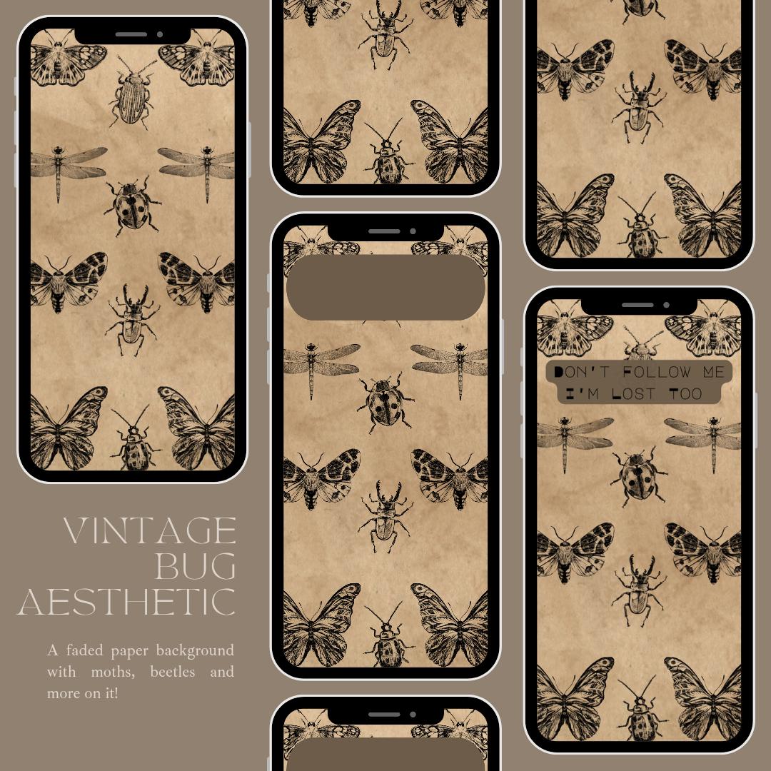 1080x1080 Vintage Entomology Bug Phone Wallpaper, 3 Designs (digital Download)