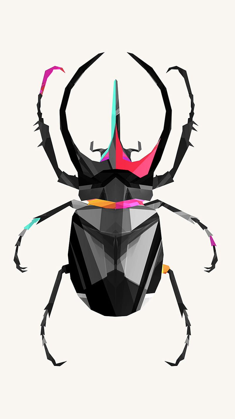 800x1422 Insect, abstract, HD phone wallpaper