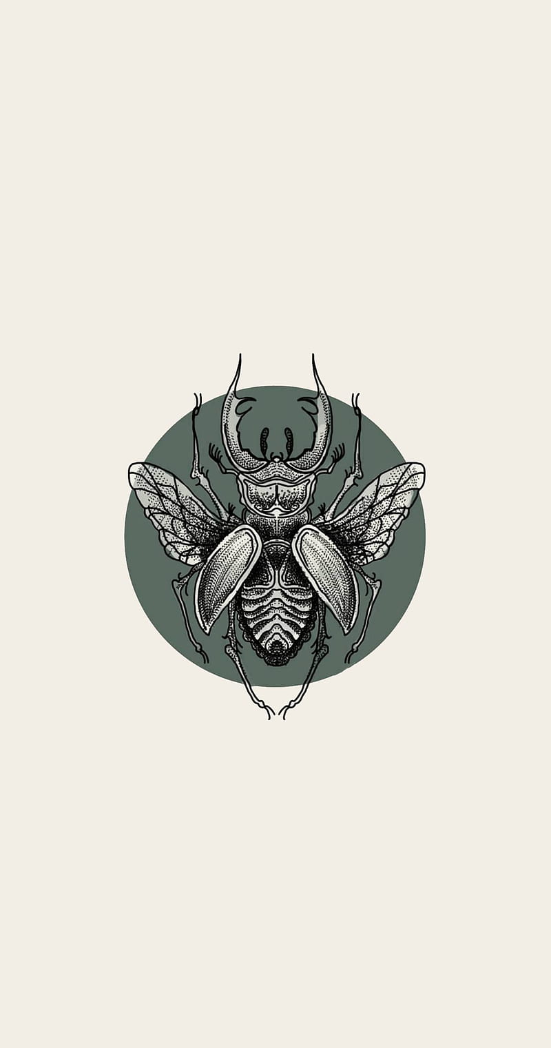 800x1521 HD bug beetle wallpaper