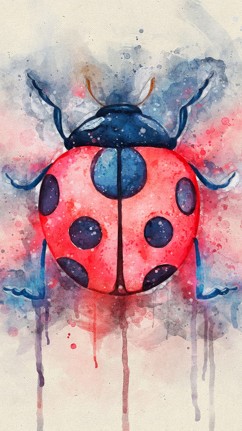 800x1422 HD lady bug ladybug wallpaper