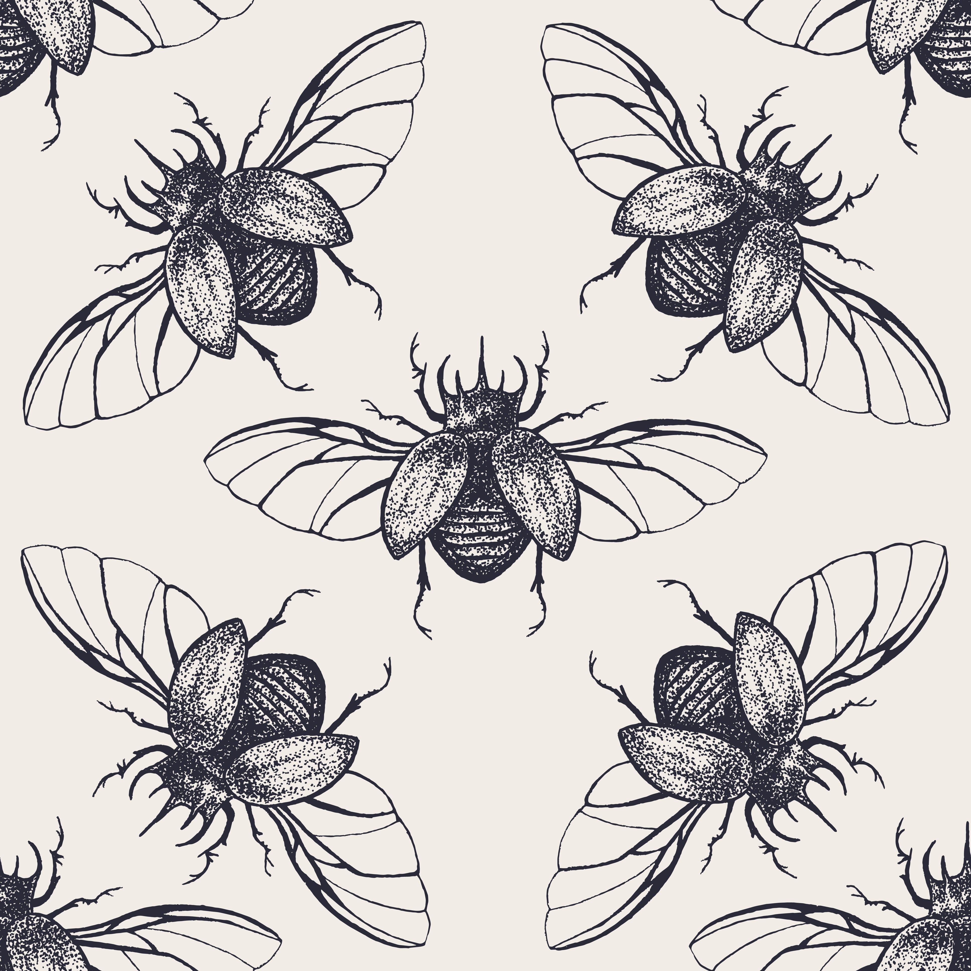 3873x3873 Beetles Wallpaper