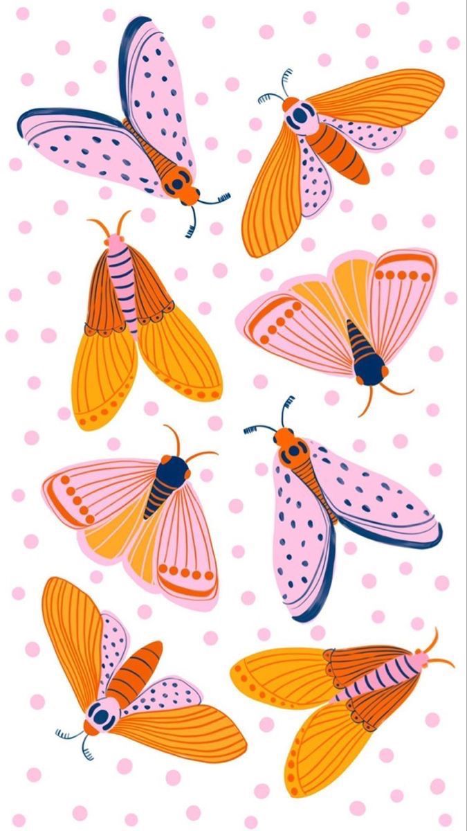 675x1200 Colorful Butterfly Merchandise Designs. Moths wallpaper, Bright bug pattern art, Pink and orange insect illustration