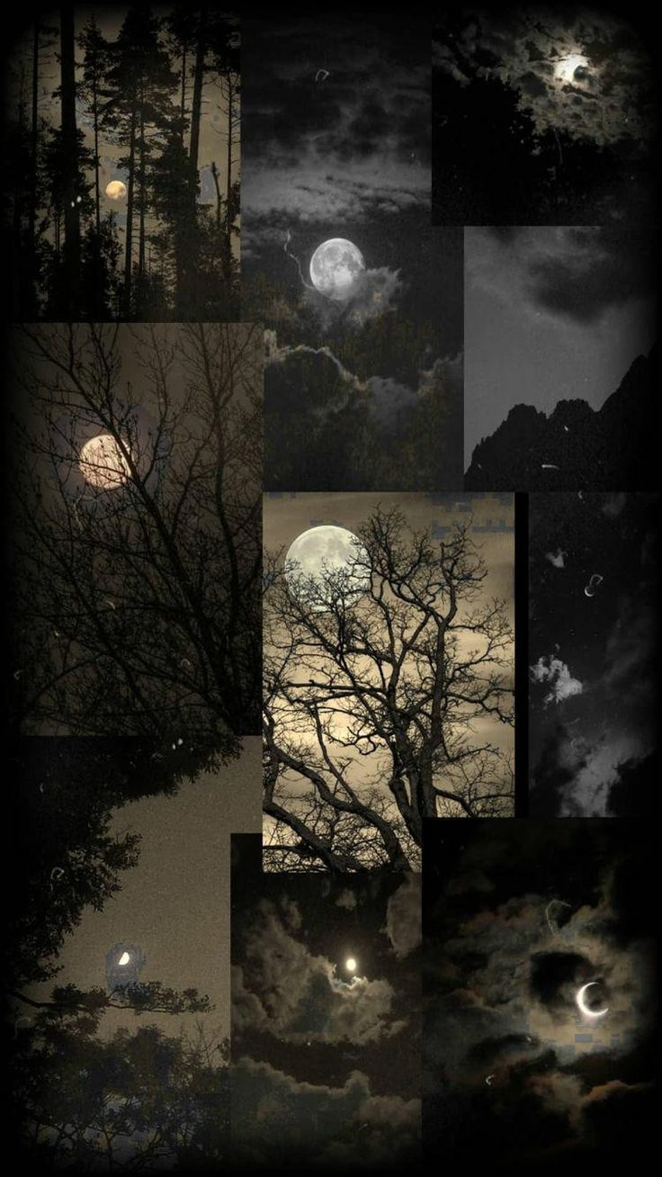 736x1308 Enchanting Night Photography with Trees and Moon. Gothic moon wallpaper, Gothic scenery wallpaper, Dark moon wallpaper aesthetic