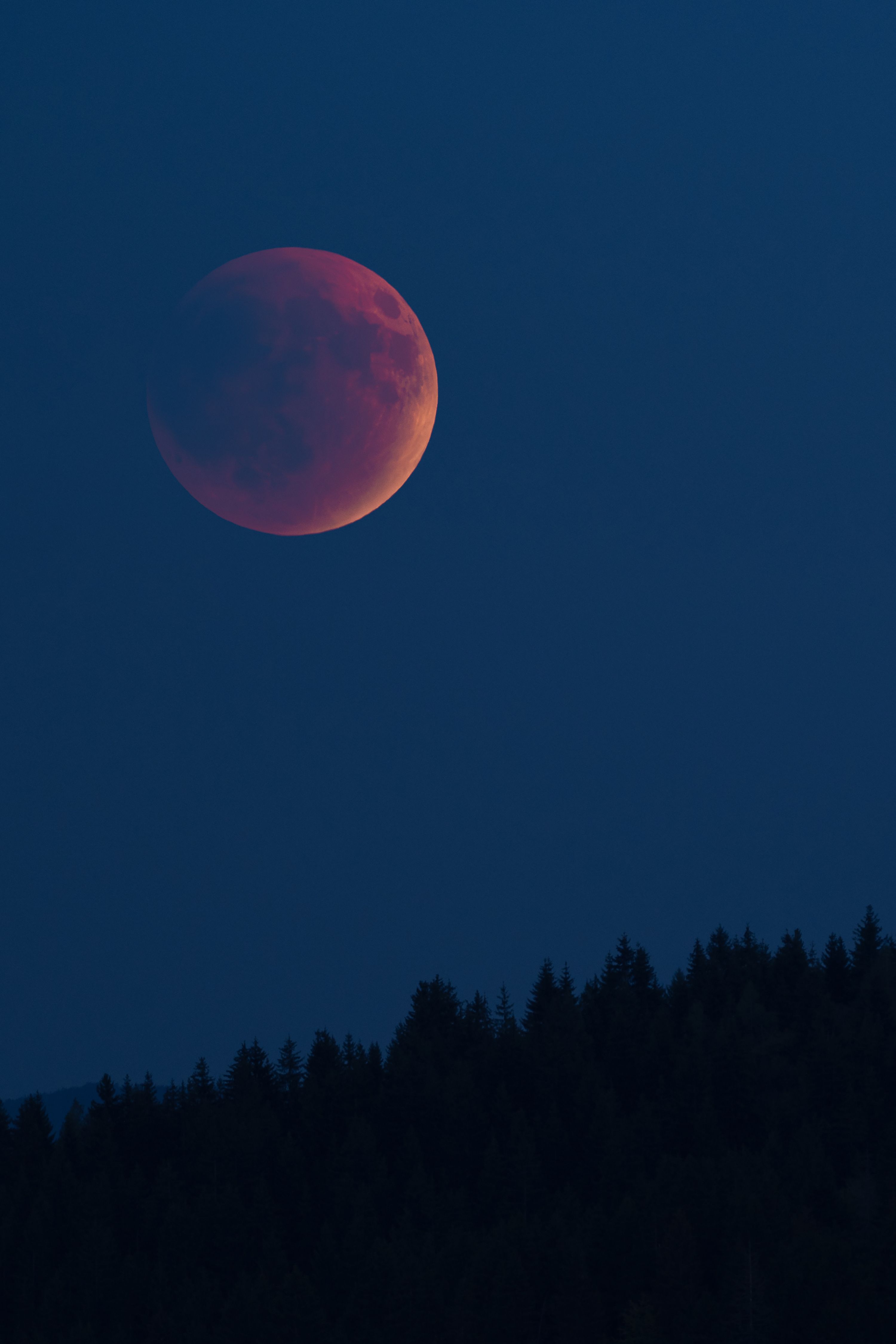 3000x4501 Full moon wallpaper for iPhone, iPad