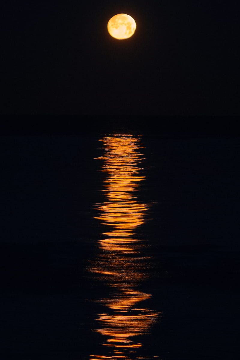 800x1200 Moon, light, sea, night, dark, HD phone wallpaper