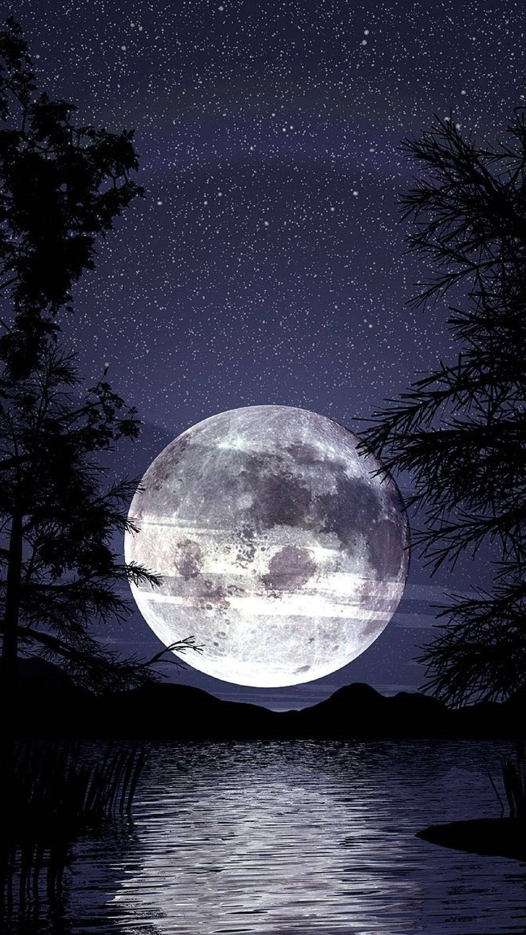 1080x1920 Download Dark Night Sky And Grey Moon Wallpaper