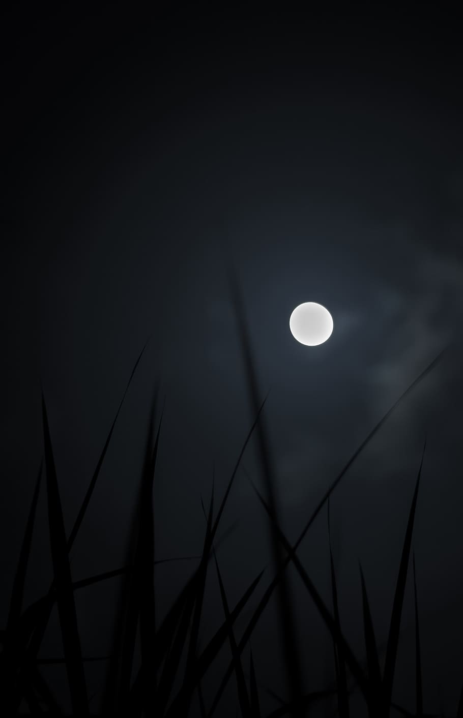 910x1412 Moonlight 1080P, 2K, 4K, 5K HD wallpaper free download