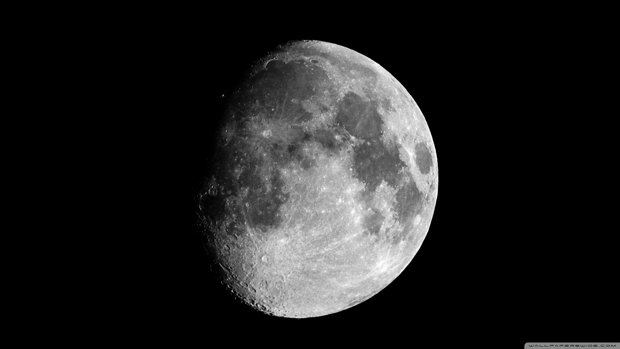 2560x1440 Moon In The Dark 4K UHD Wallpaper for UltraHD Desktop and TV : Widescreen and UltraWide Display