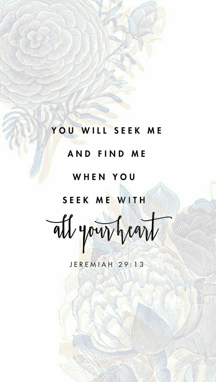 736x1300 Jeremiah 29:13