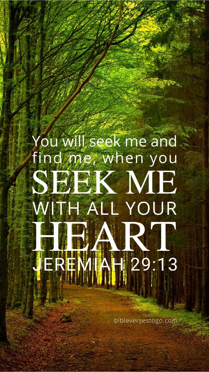 720x1280 Forest Path Jeremiah 29:13