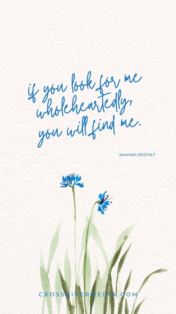 736x1308 Jeremiah 29:13