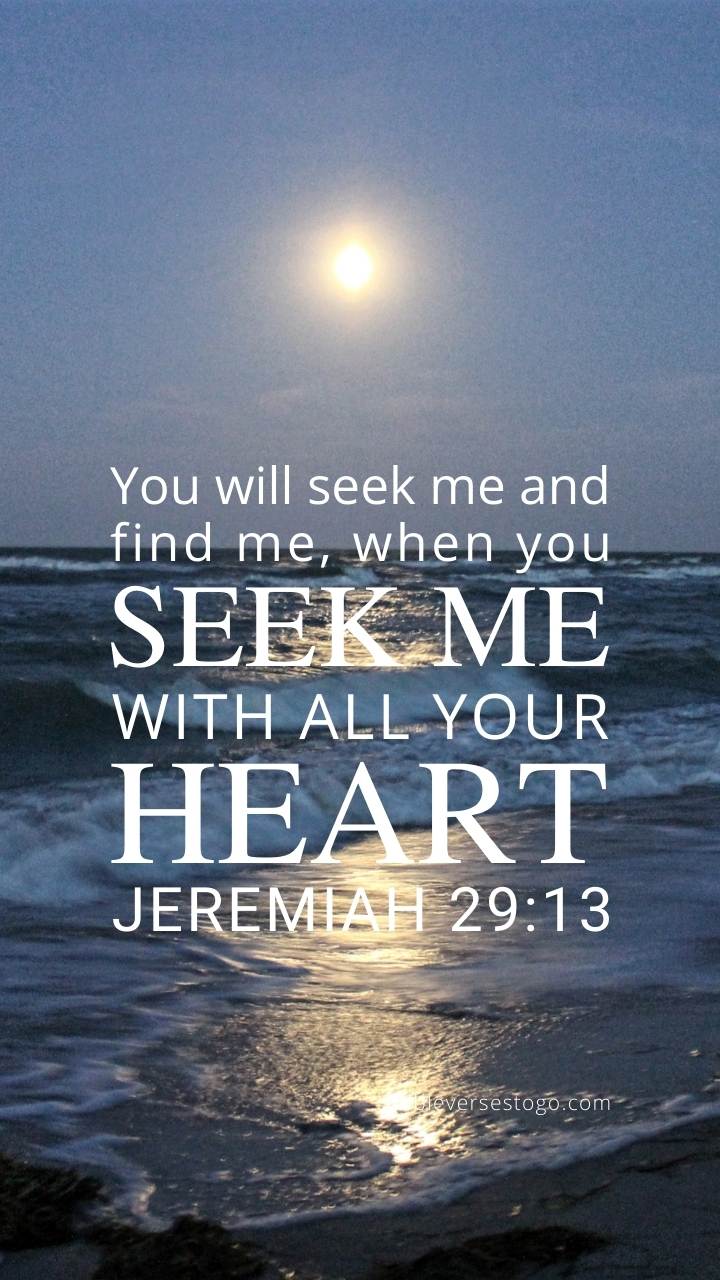 720x1280 Ocean Sunset Jeremiah 29:13