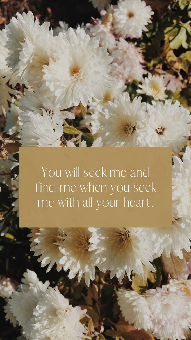 736x1308 Jeremiah 29 Phone Wallpaper
