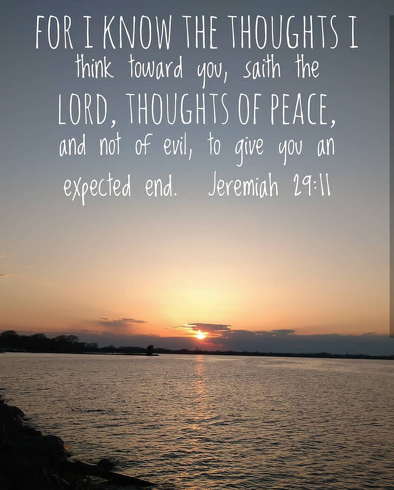 800x994 Jeremiah bible, nature, quotes, HD phone wallpaper