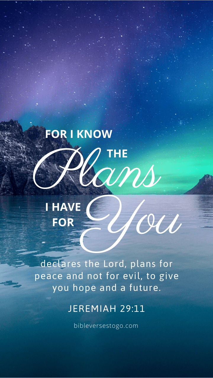 720x1280 Jeremiah 29:11 Wallpaper