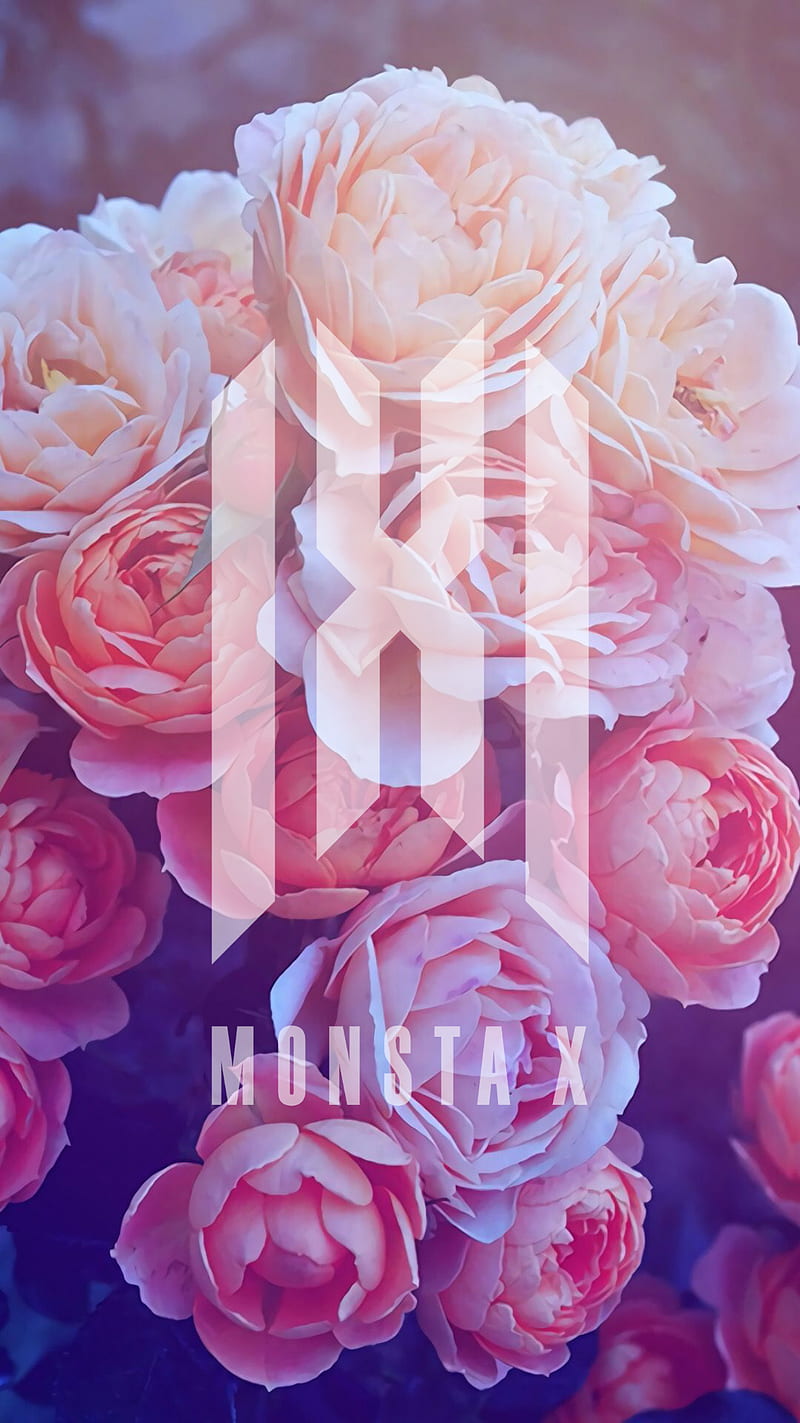 800x1423 Monsta X Kpop, hyungwon, im, joohoney, kihyun, minhyuk, monbebe, monstax, shownu, HD phone wallpaper