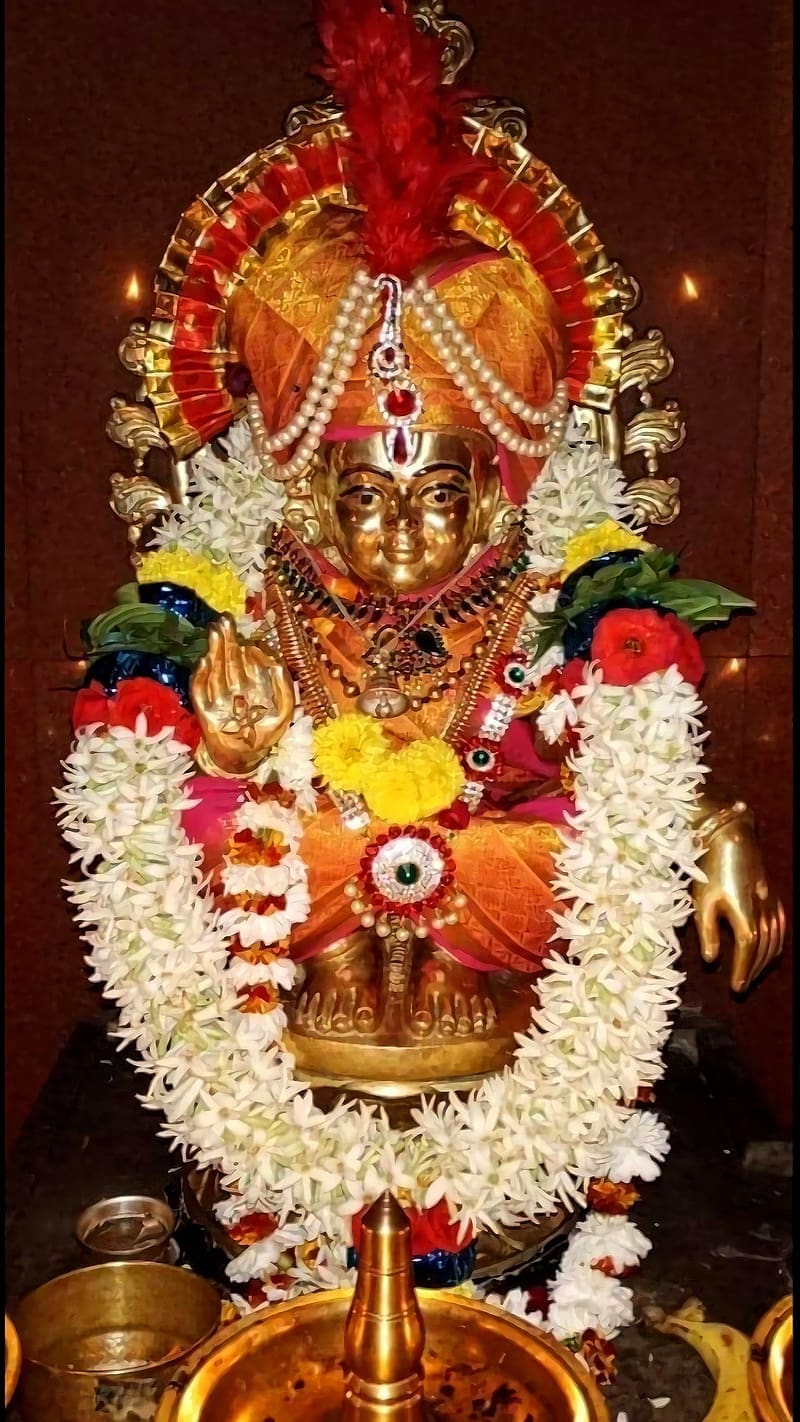 800x1422 Ayyappa, Golden Statue Closeup, lord, god, manikandan, HD phone wallpaper