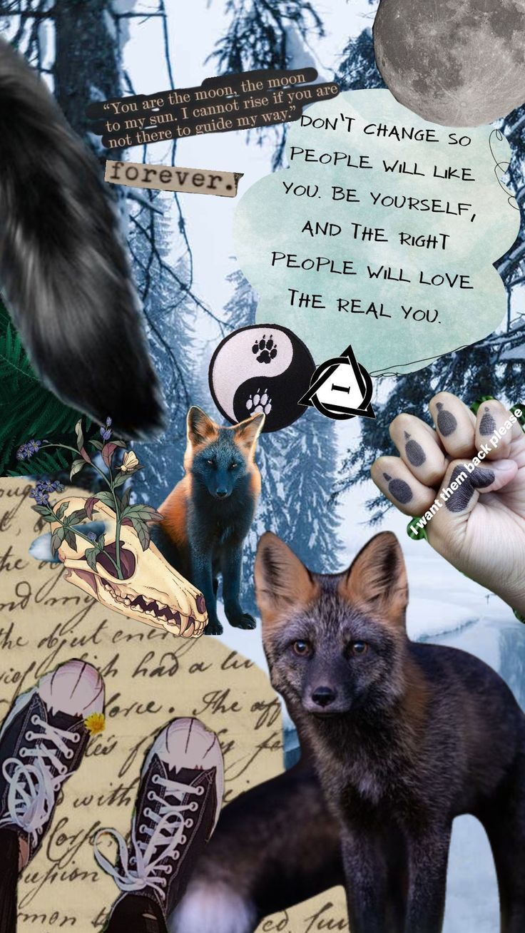 736x1308 Cross Fox therian wallpaper