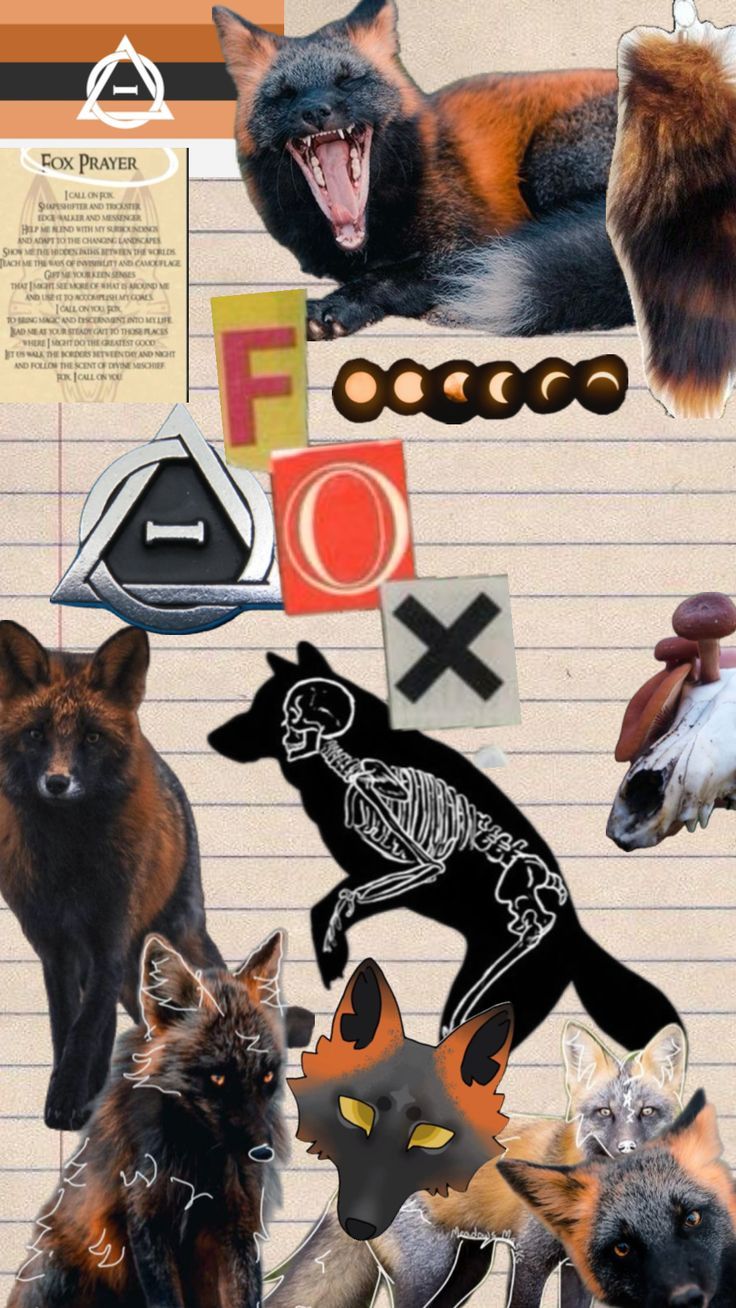 736x1308 Cross Fox Wallpaper. Maybe in another life, Mythical creatures, Fox theriotype
