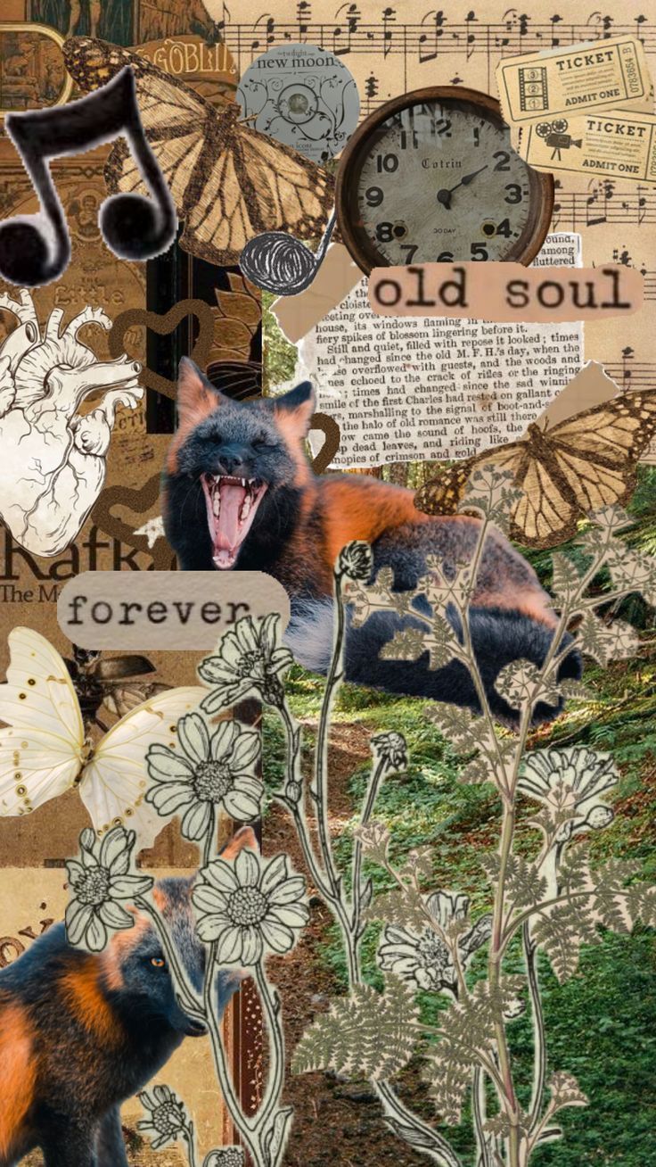 736x1308 nature #wallpaper #vintage #art #therian #therianwallpaper #theriantropy # fox#crossfox #foxtherian