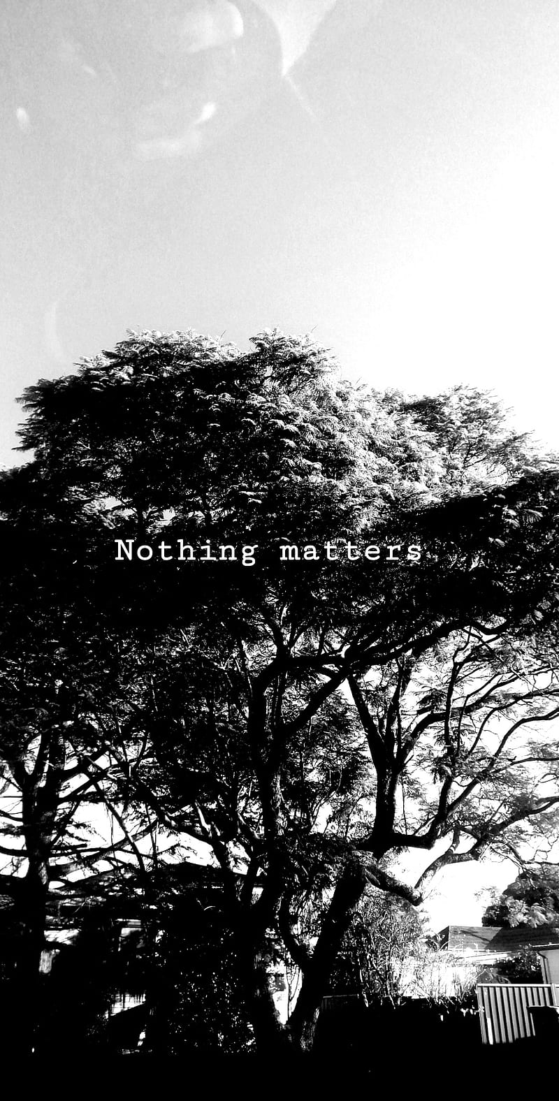 800x1576 Nothing matters, black, dark, emo, forest, nature, sad, HD phone wallpaper