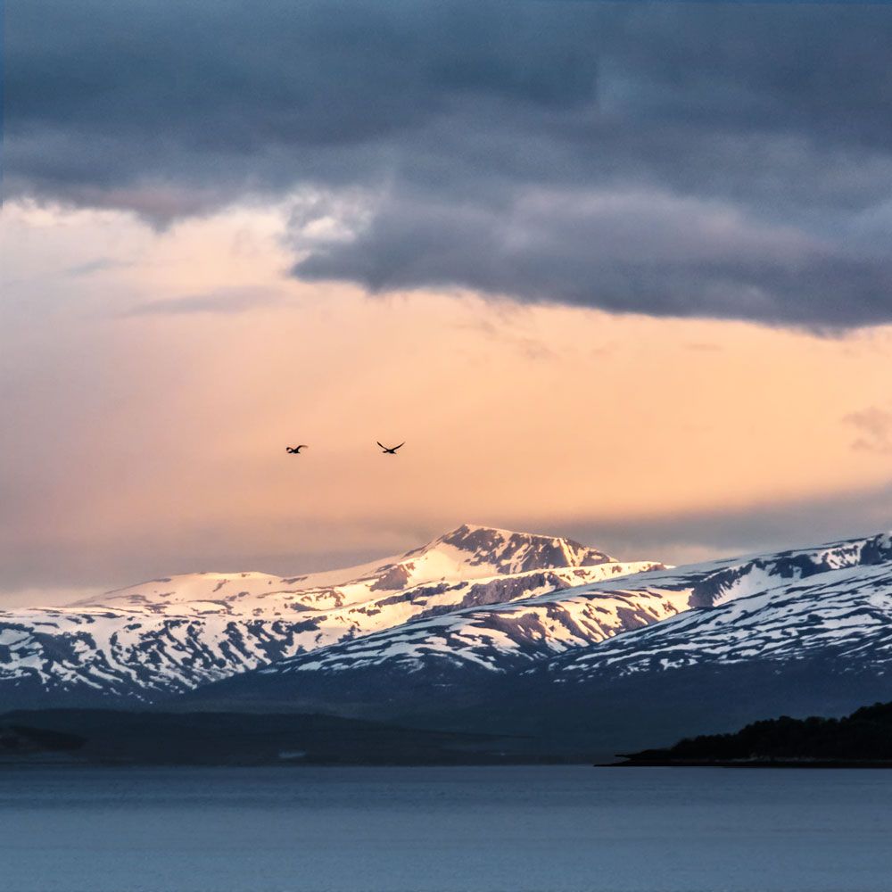 1000x1000 On cruise with Hurtigruten along Norway's coast