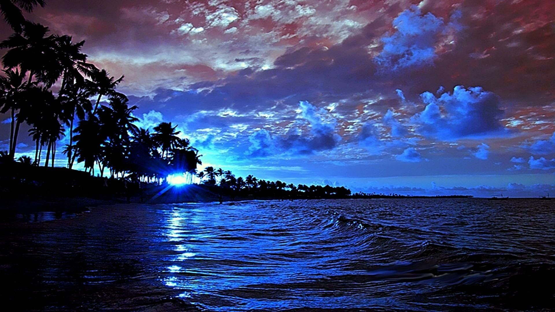 1920x1080 Download Blue Cloud Sunset Sun Silhouette Palm Tree Ocean Nature Beach Tree HD Wallpaperx1080