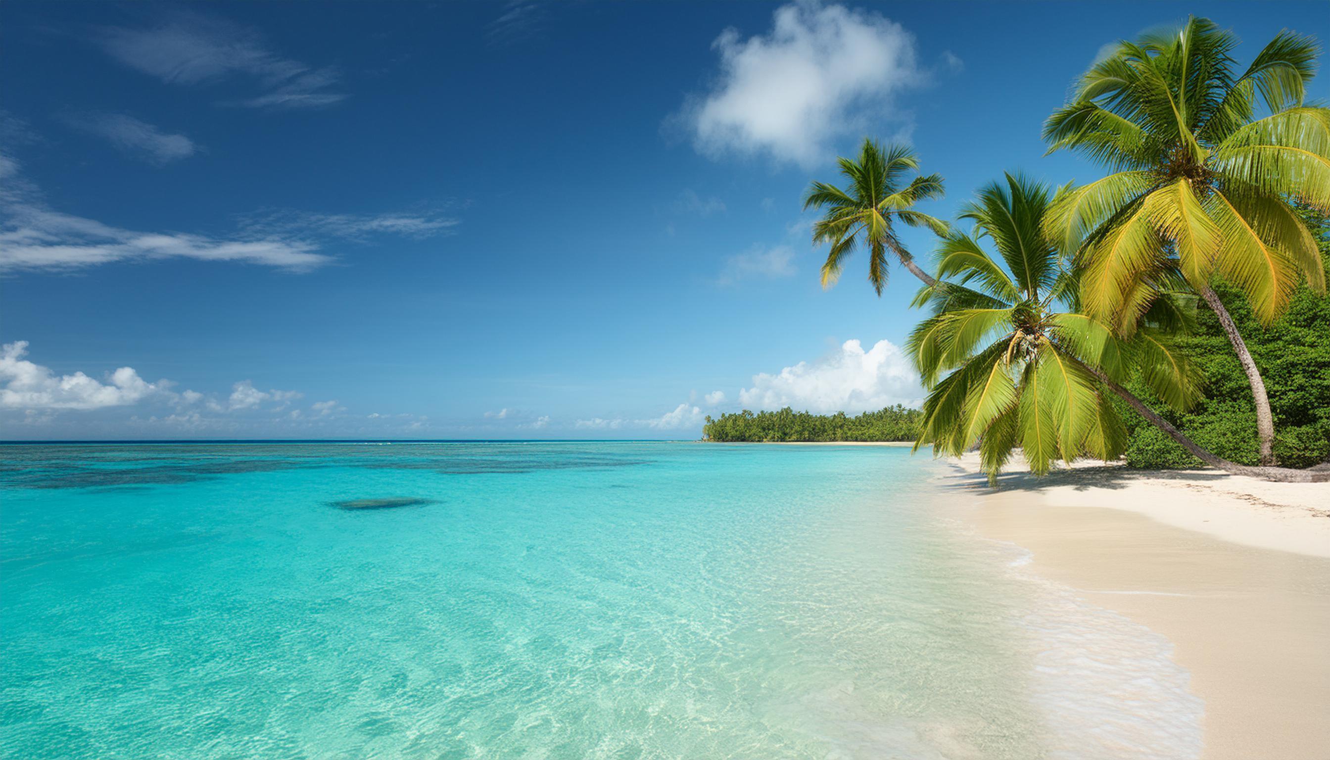 2688x1536 Beautiful sandy beach, turquoise blue sea, palm trees