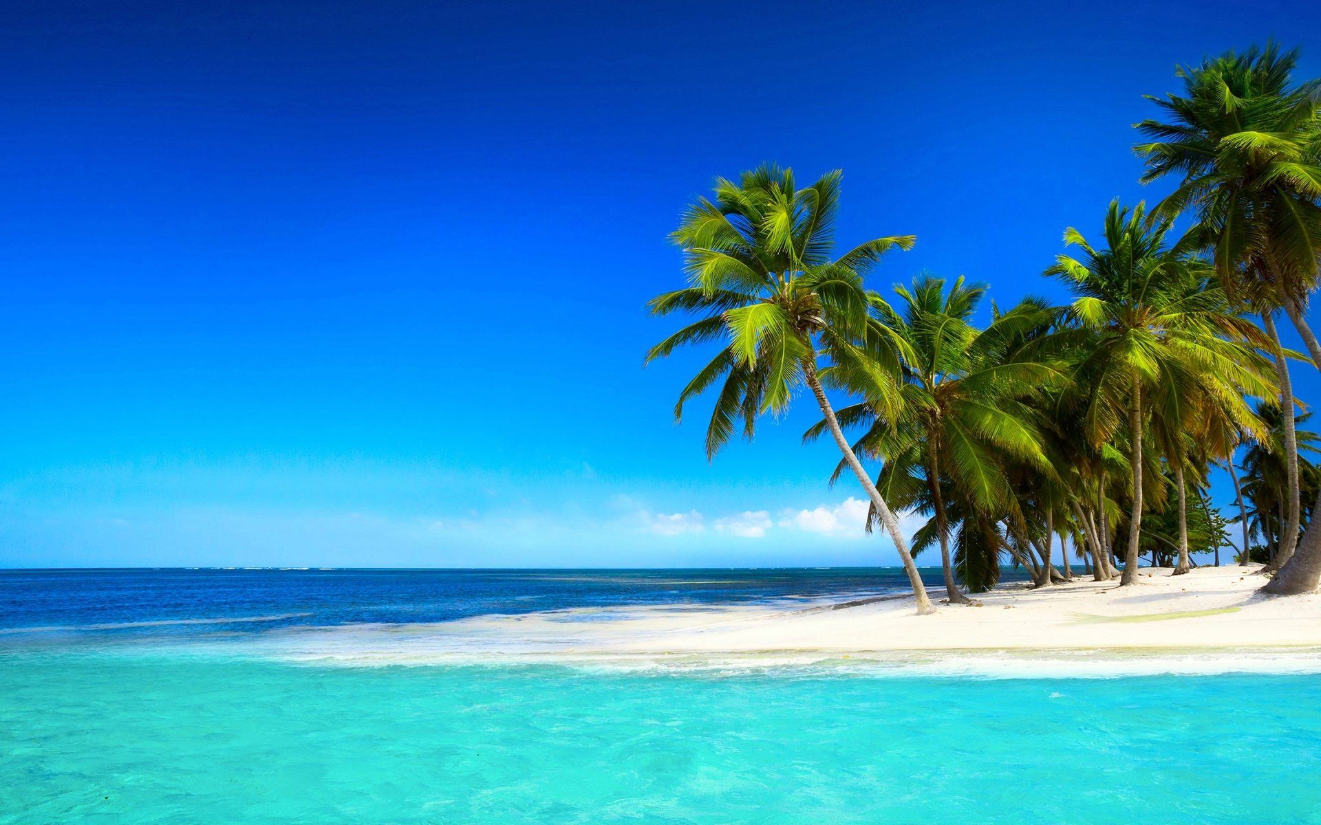 1920x1200 Tropical Paradise: HD Ocean Beach with Palm Trees and Crystal Clear Watersx1800