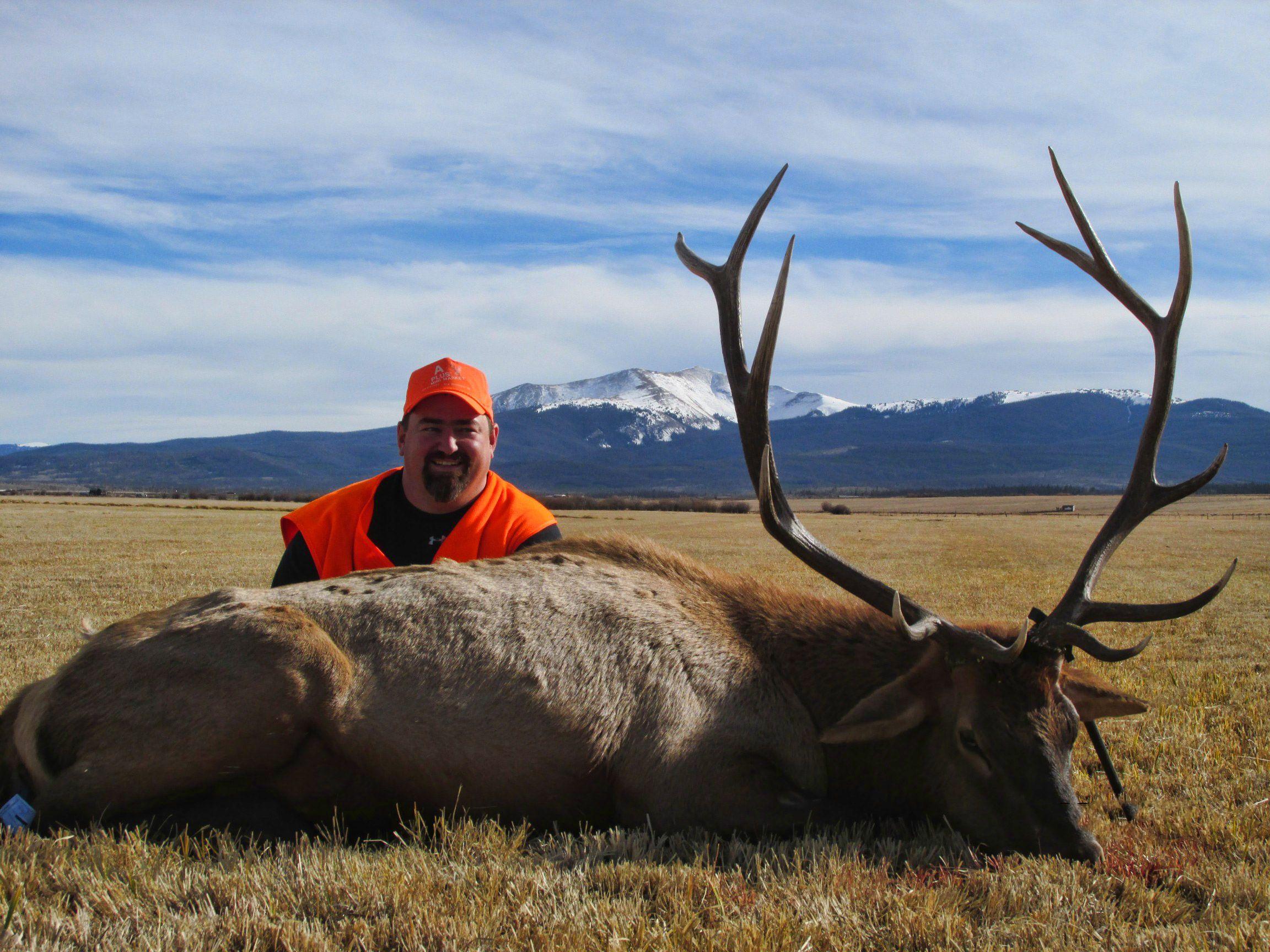2304x1728 Colorado Rocky Mountain Elk