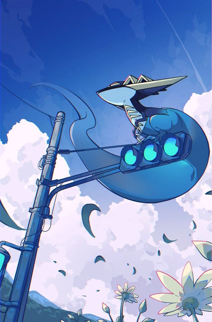 736x1117 Sharpedo wallpaper. Shark splatoon, Relicanth wallpaper, Pokémon fanart