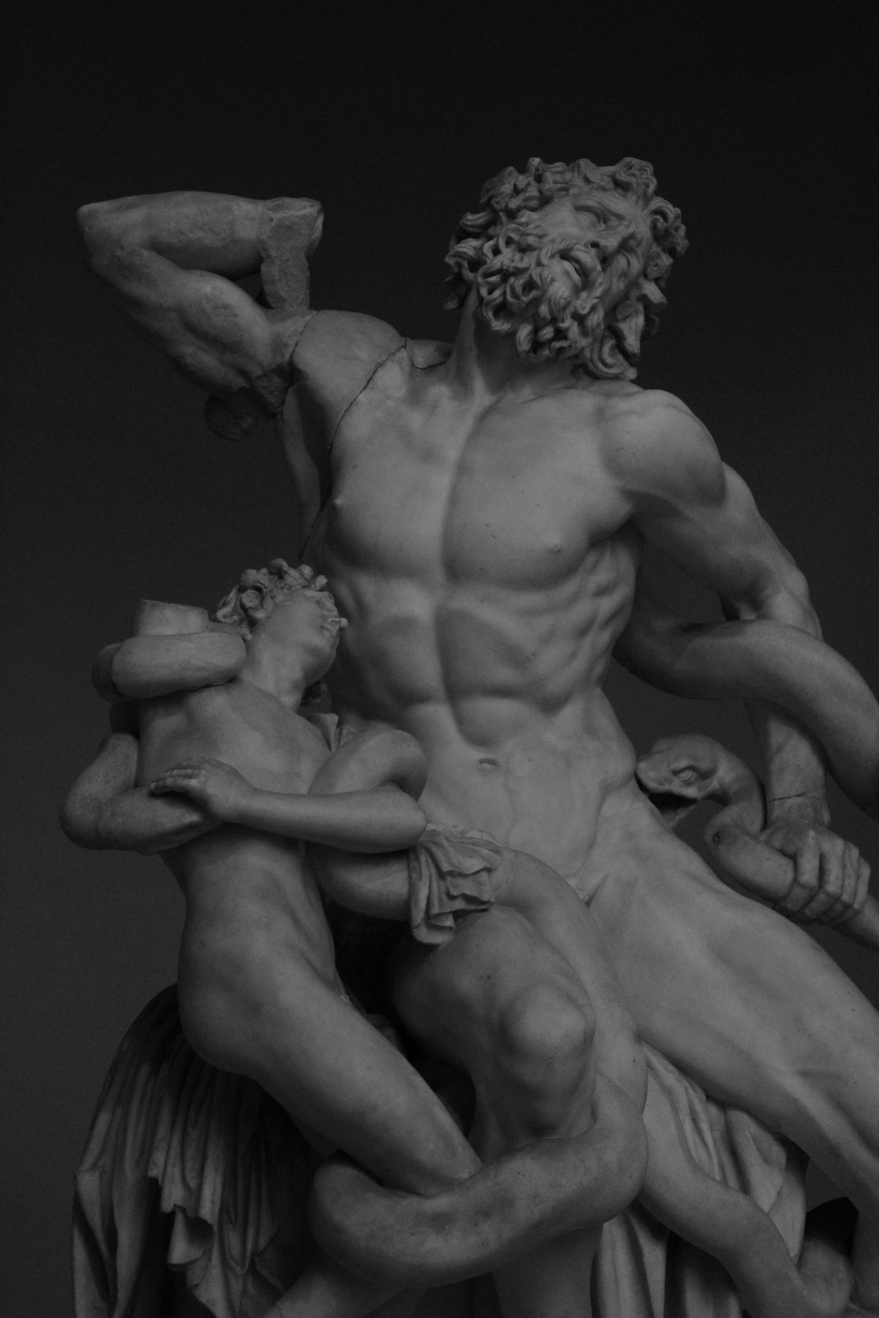 3000x4500 Laocoön and his sons struggle against serpents