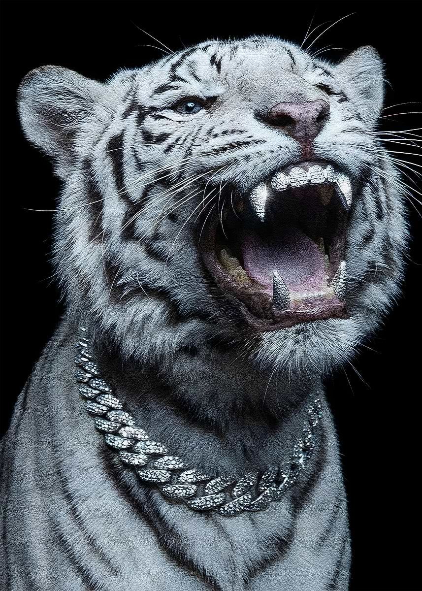 857x1200 White Tiger with Diamond Grill and Chain