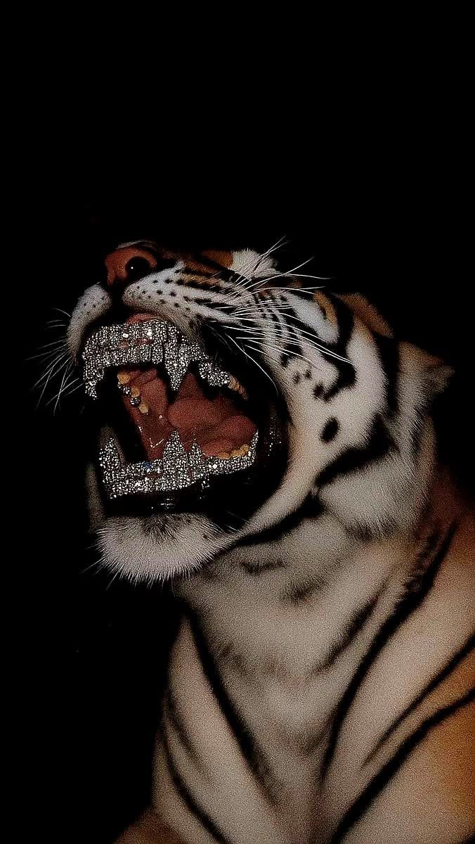 676x1200 Tiger with Open Mouth Wallpaper HD