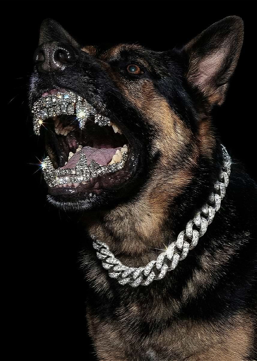 857x1200 Diamond Grill German Shepherd' Poster, picture, metal print, paint
