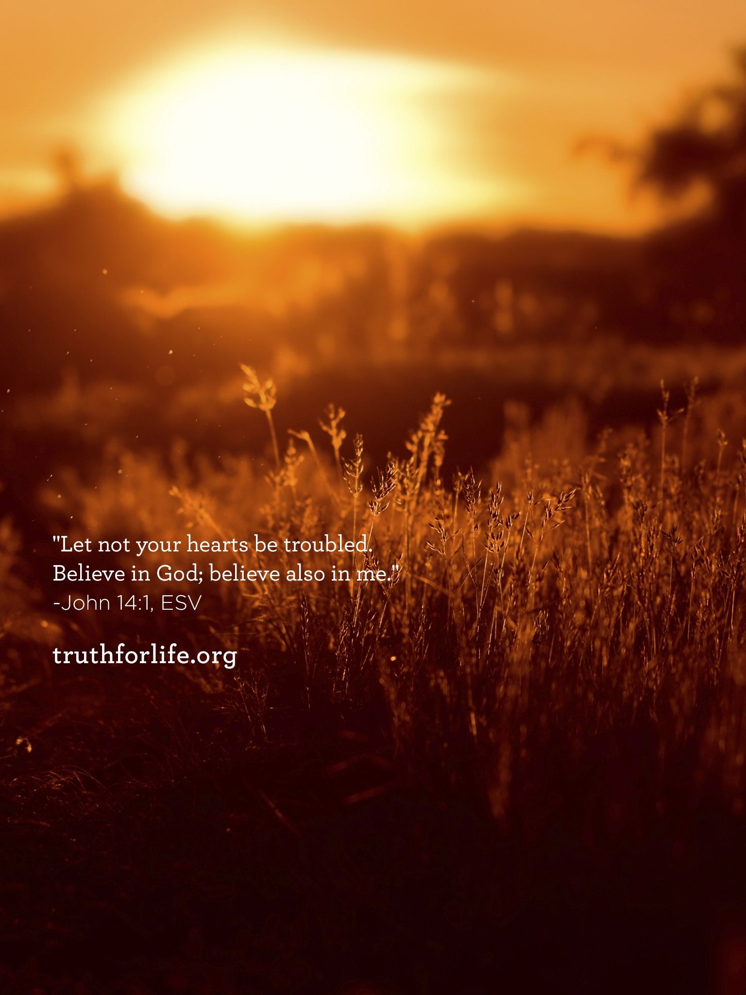 1536x2048 Believe in God