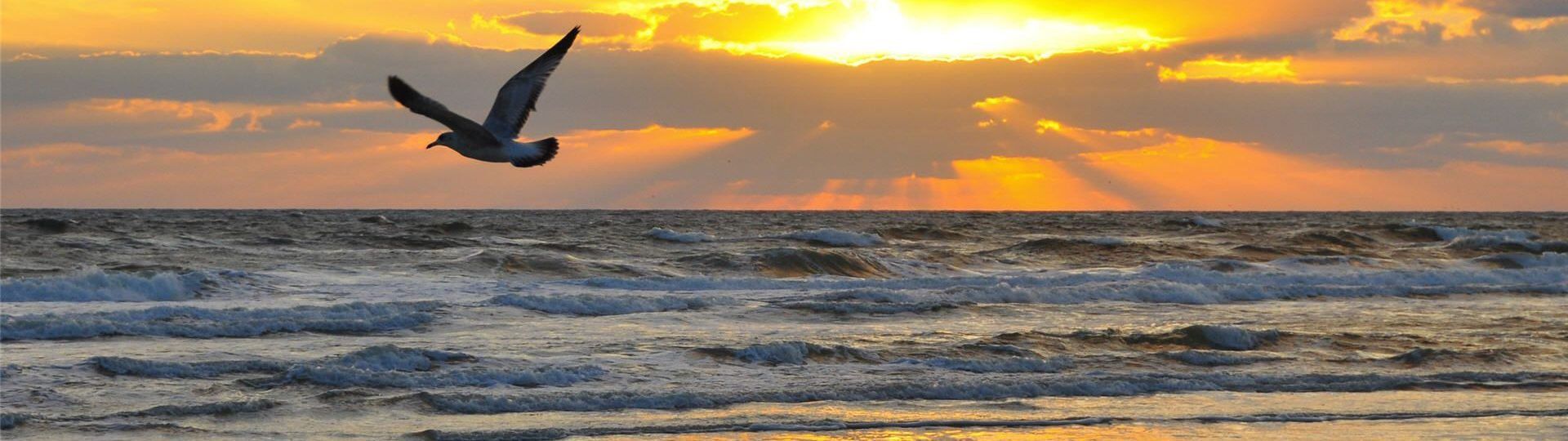 1920x540 The Best Rated Carolina Beach Condos & More