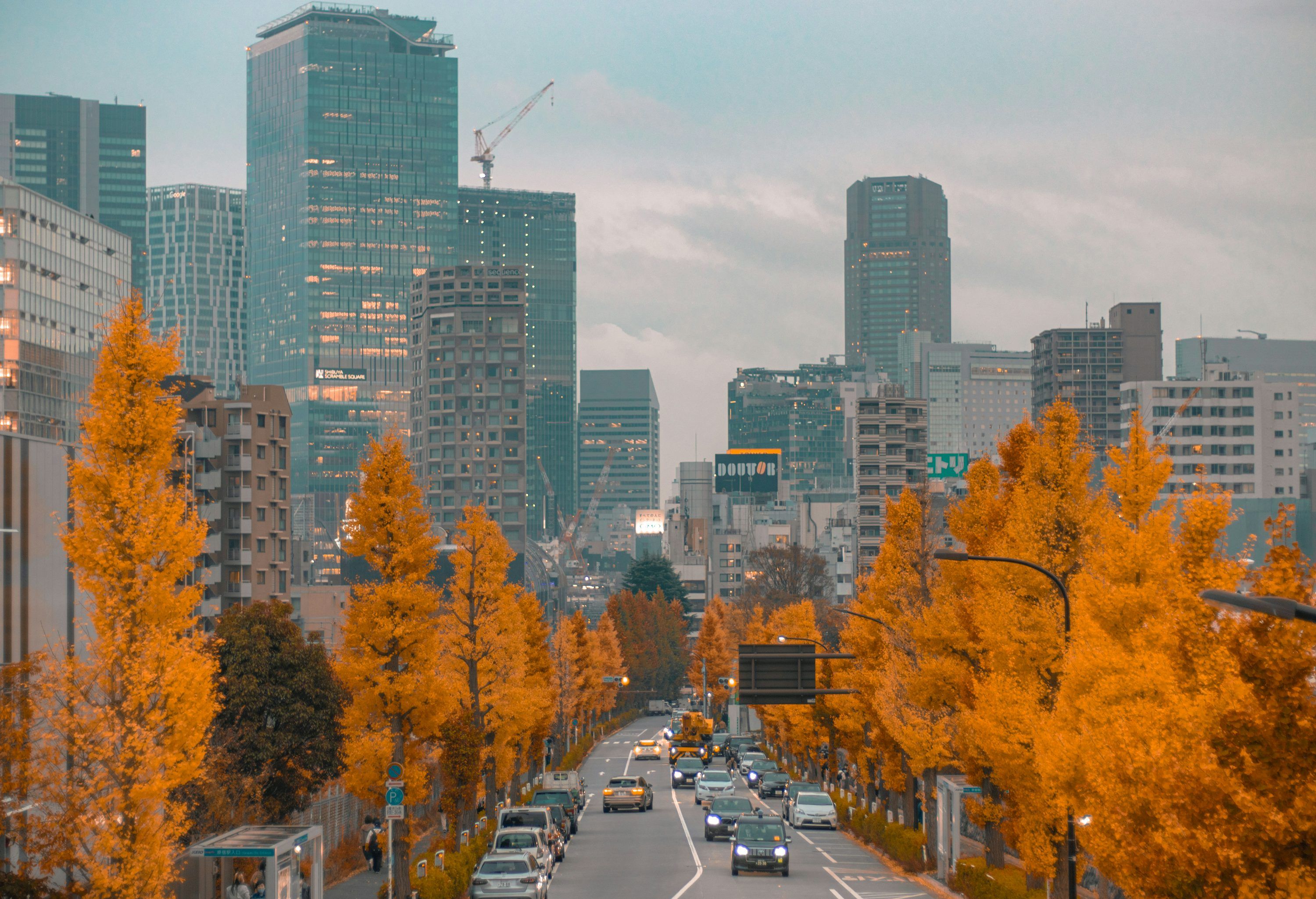 3000x2050 Autumn City Picture. Download Free Image