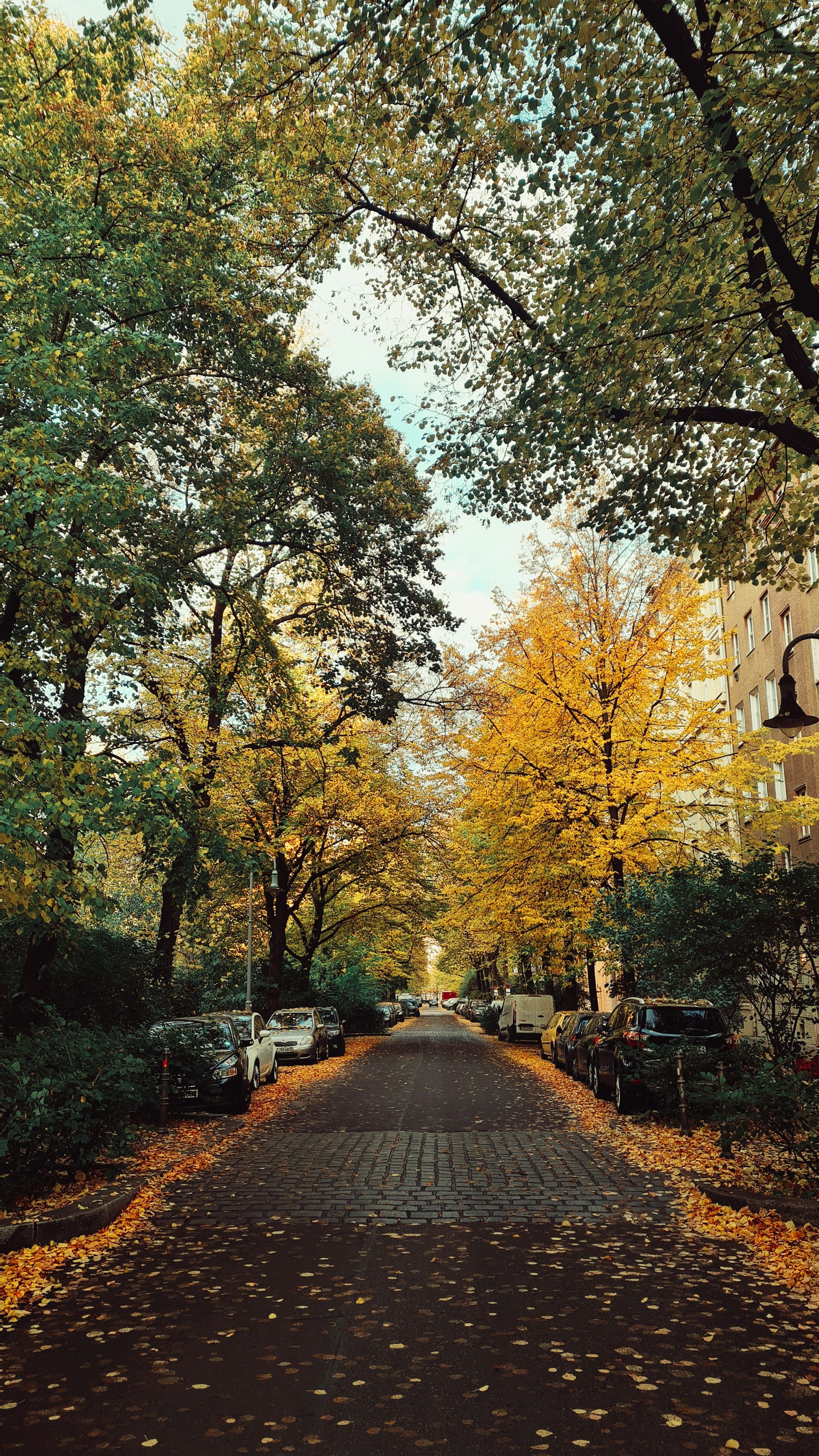 3000x5333 Autumn City Picture. Download Free Image