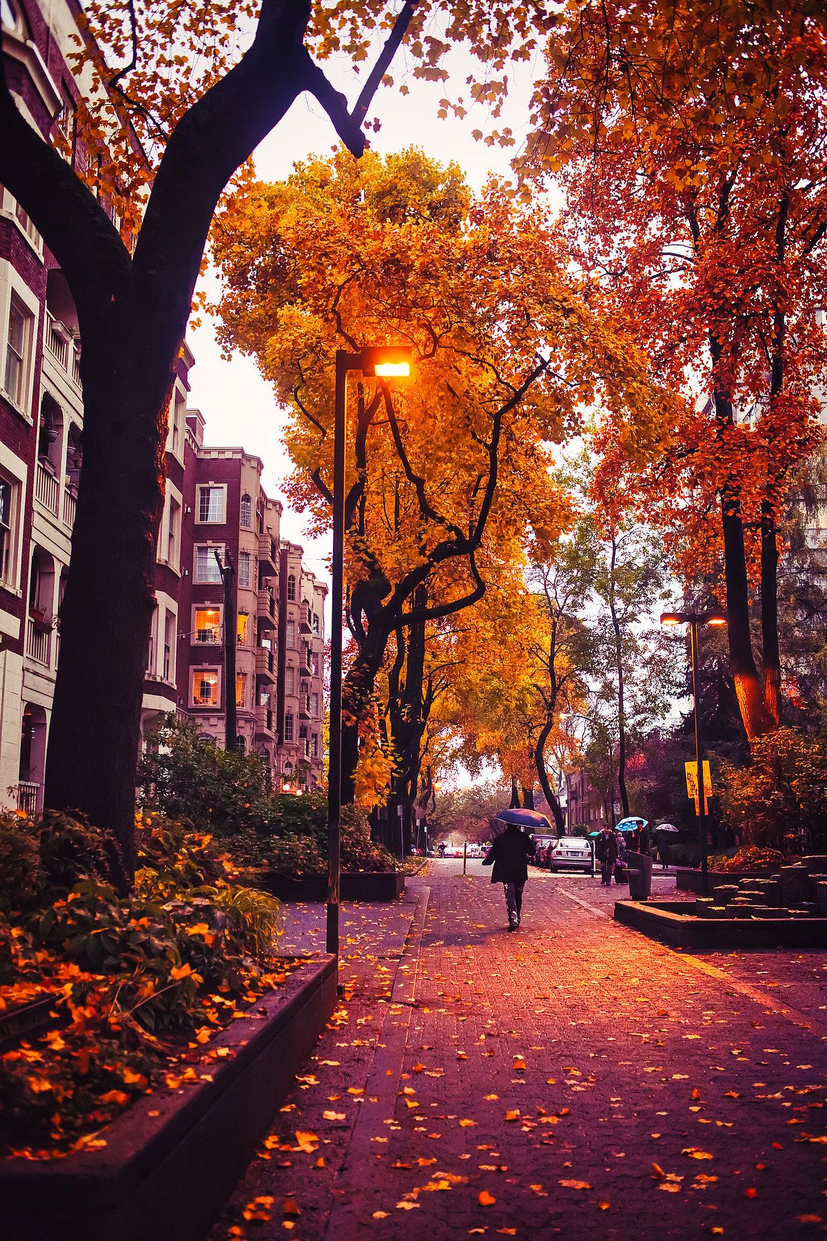 1200x1800 Best Cities Around The World To Experience The Beauty Of Autumn