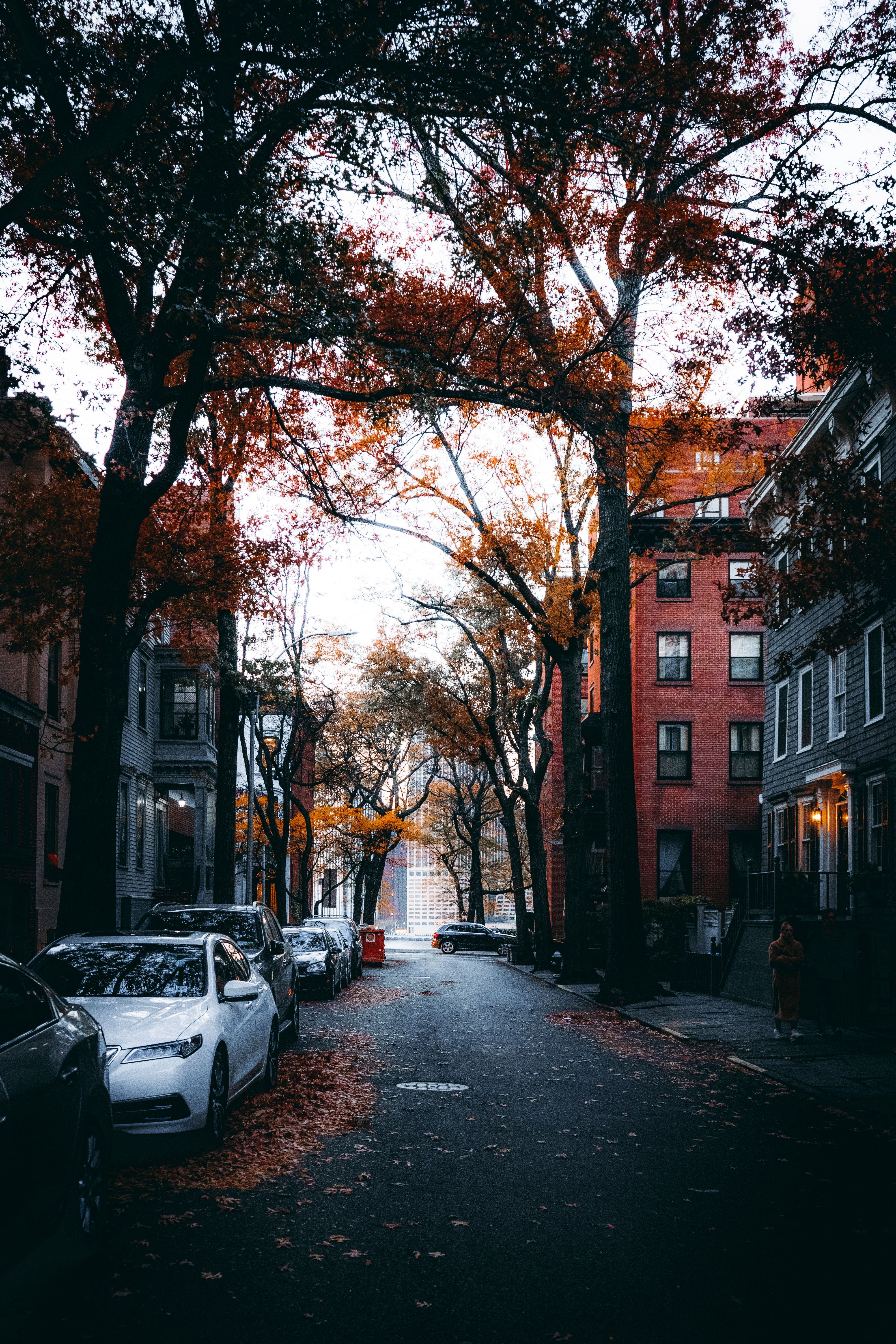 4000x6000 Phone wallpaper: Street, Cities, Autumn, Cars, Trees, City 155713