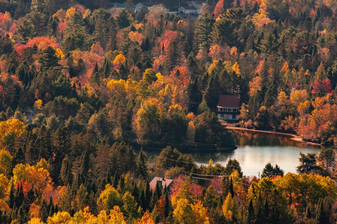 1125x750 Scenic Autumn Landscape in Québec City · Free