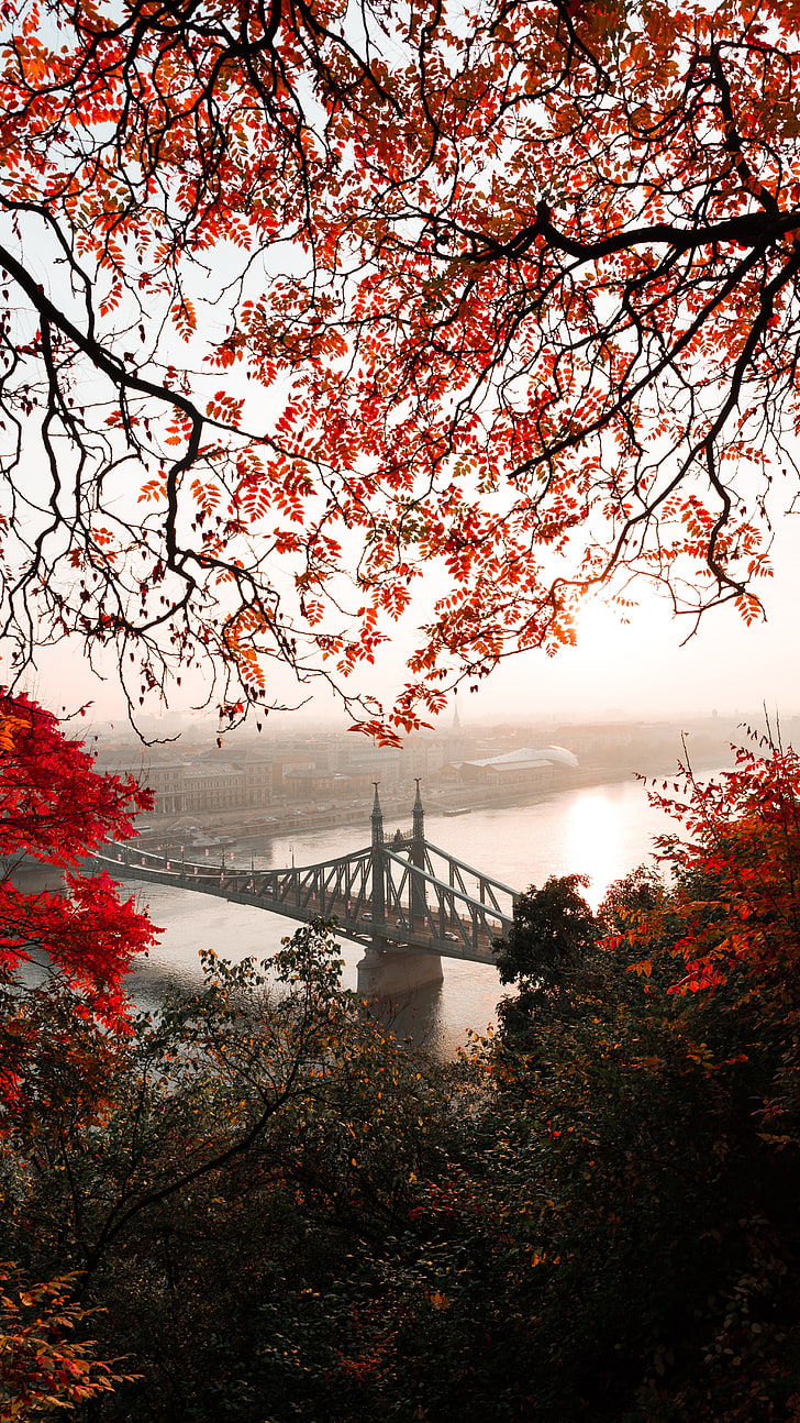 728x1294 New york autumn 1080P, 2K, 4K, 5K HD wallpaper free download