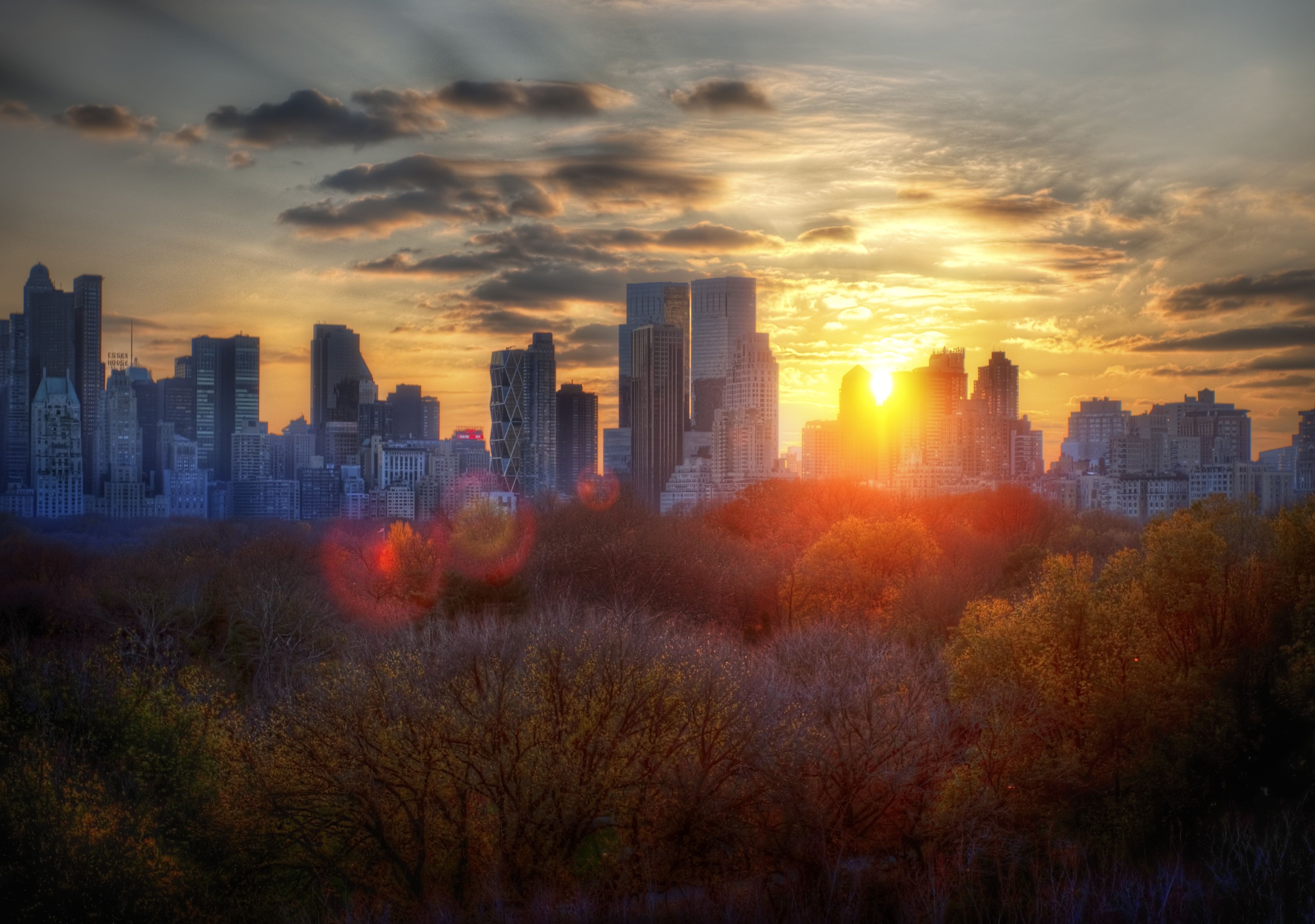 5621x3951 Free New York, trees 5K wallpaper for desktop and phone