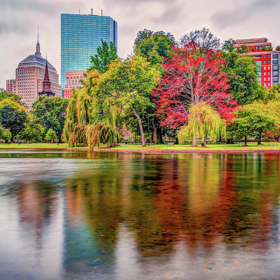 900x900 Autumn City View From Boston Public Garden