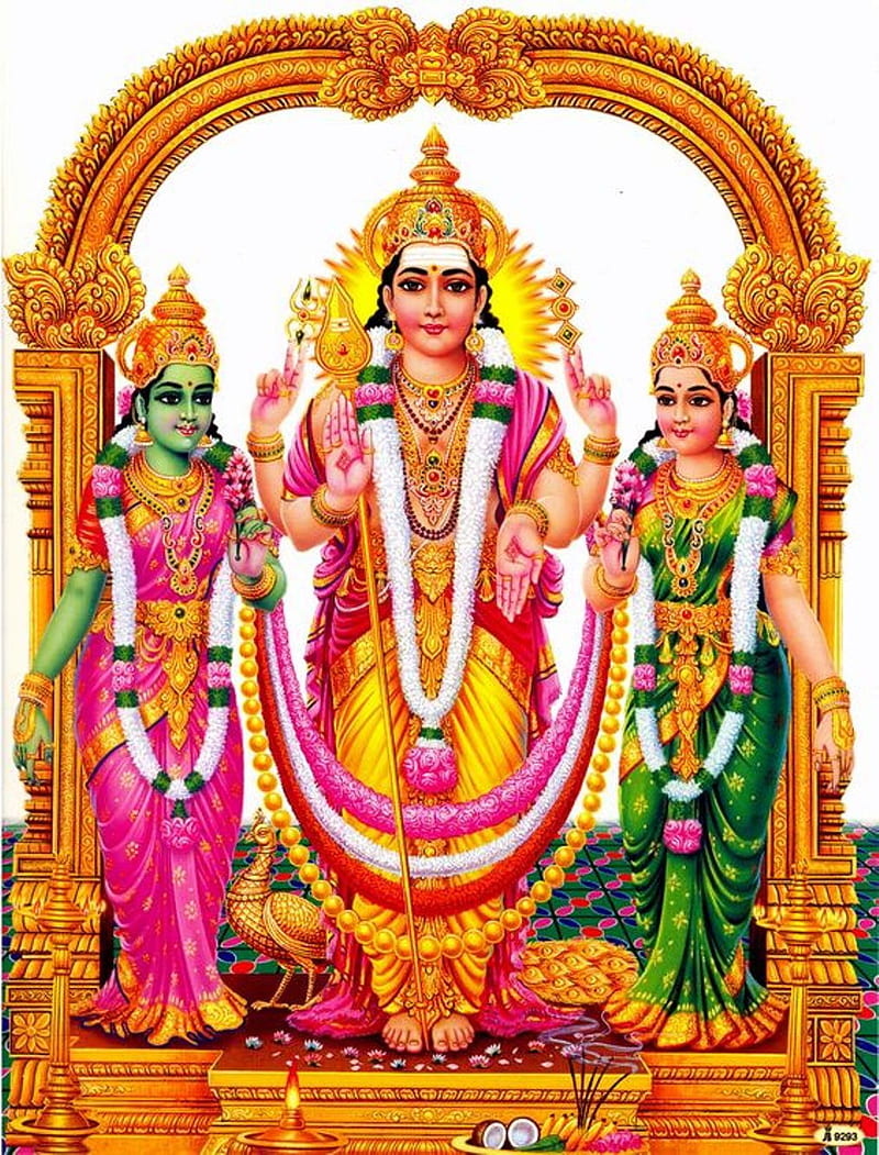 800x1051 Lord Murugan, deivanai, god, valli, HD phone wallpaper
